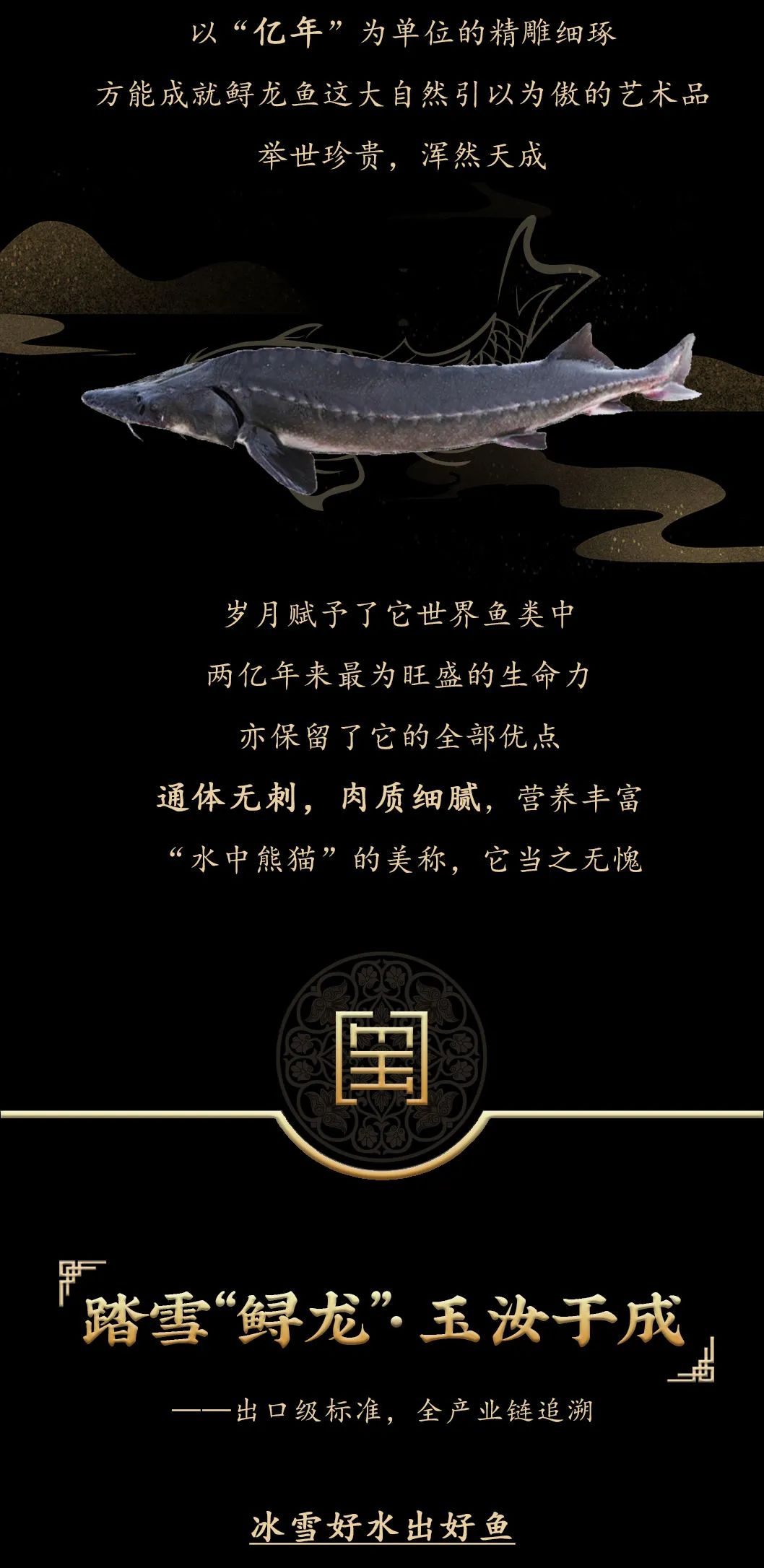 九州鱘龍魚片上新 | 自然臻藏，獻(xiàn)給吃魚有講究的人